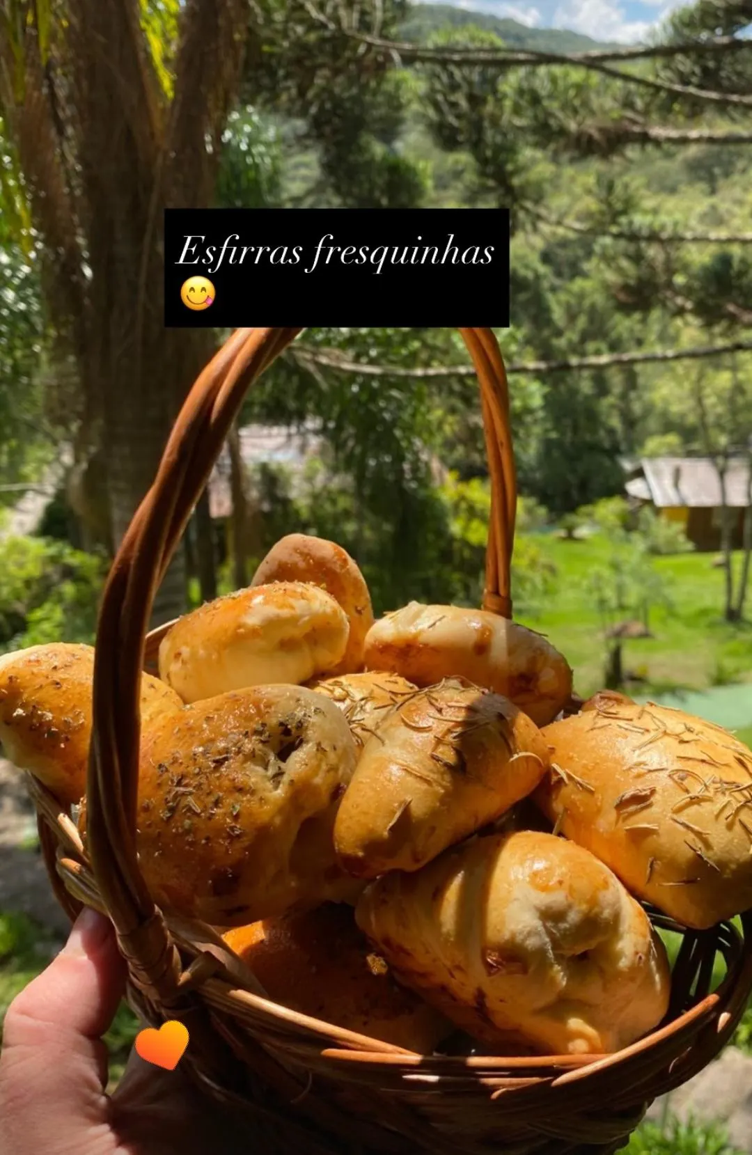 Saladas da horta orgânica