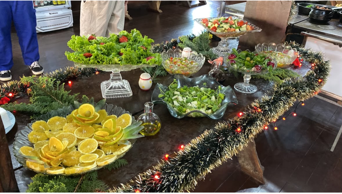 Saladas da horta orgânica