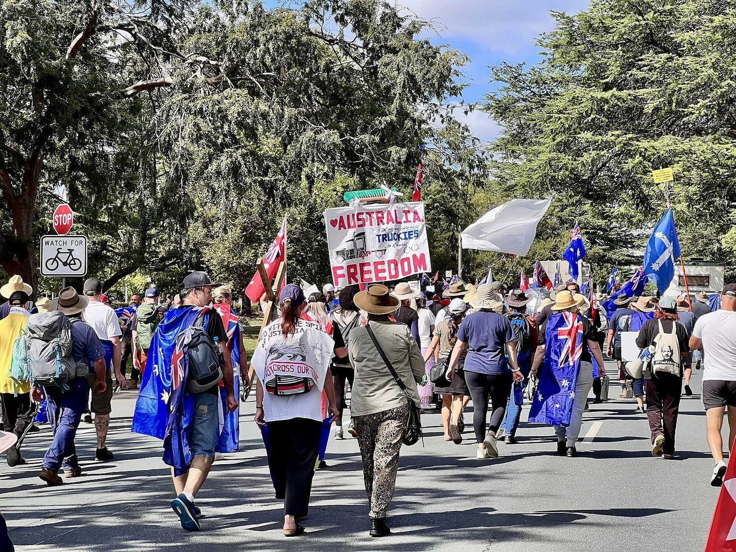 How ‘freedom rally’ protesters and populist right-wing politics may play a role in the federal election