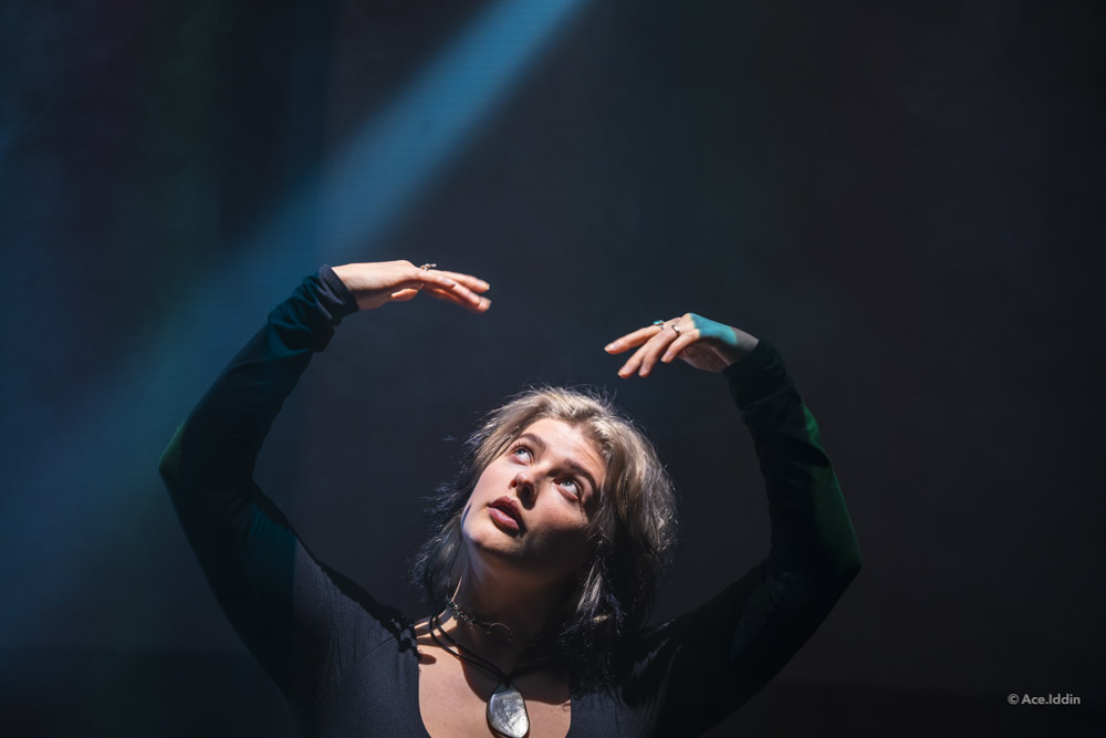 Iris Collection — 4