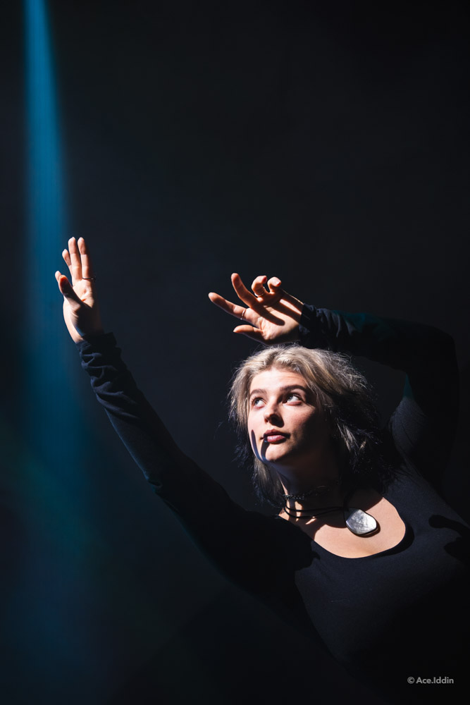 Iris Collection — 5