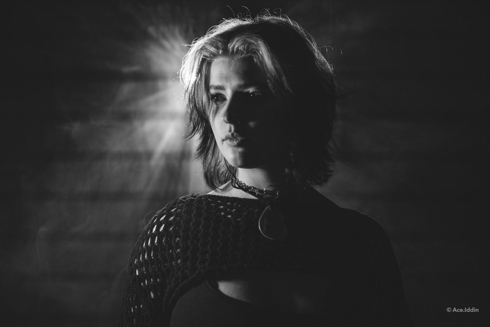 Iris Collection — 23