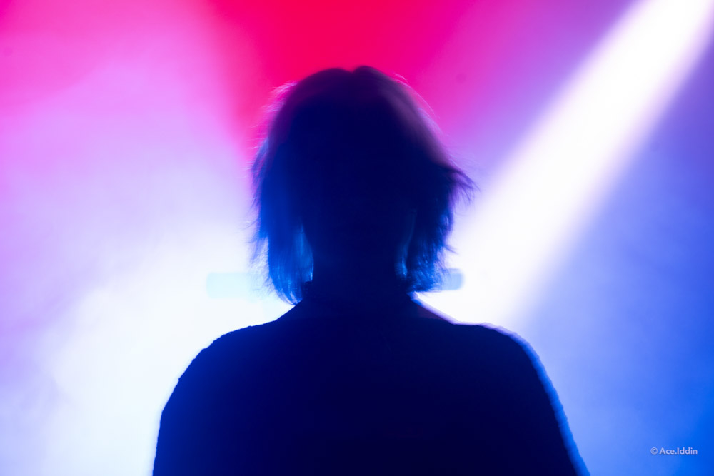 Iris Collection — 24