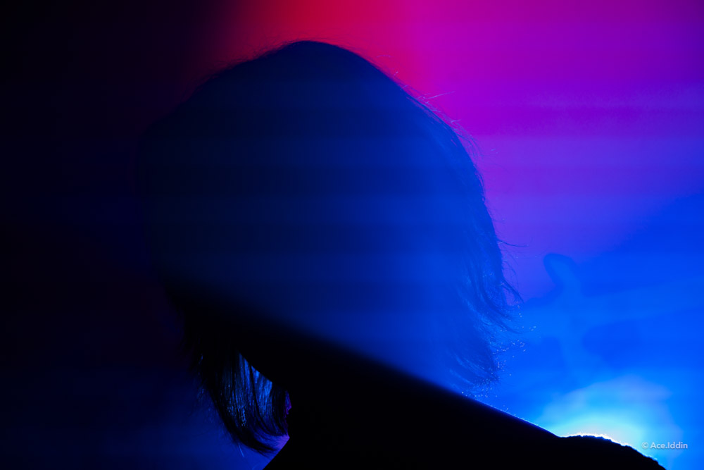 Iris Collection — 28