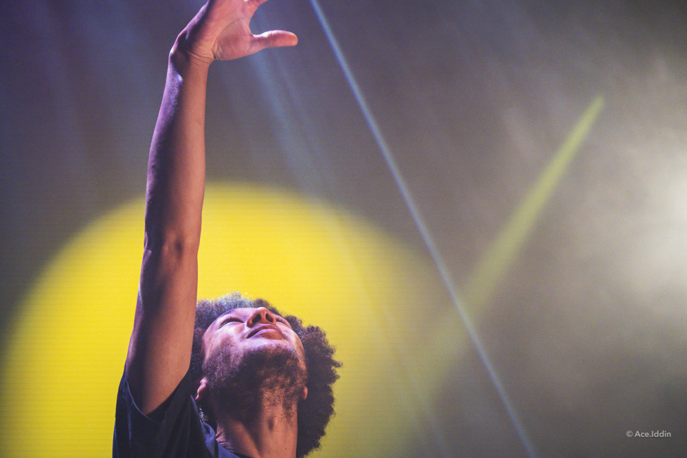 Jan Collection — 13