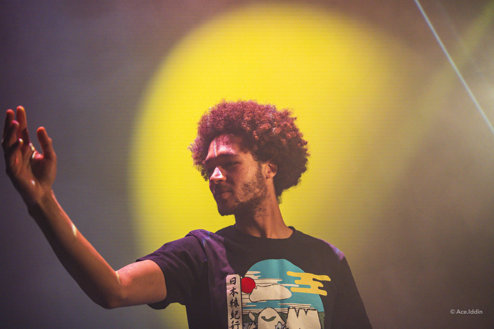 Jan Collection — 16