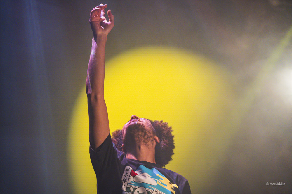 Jan Collection — 18