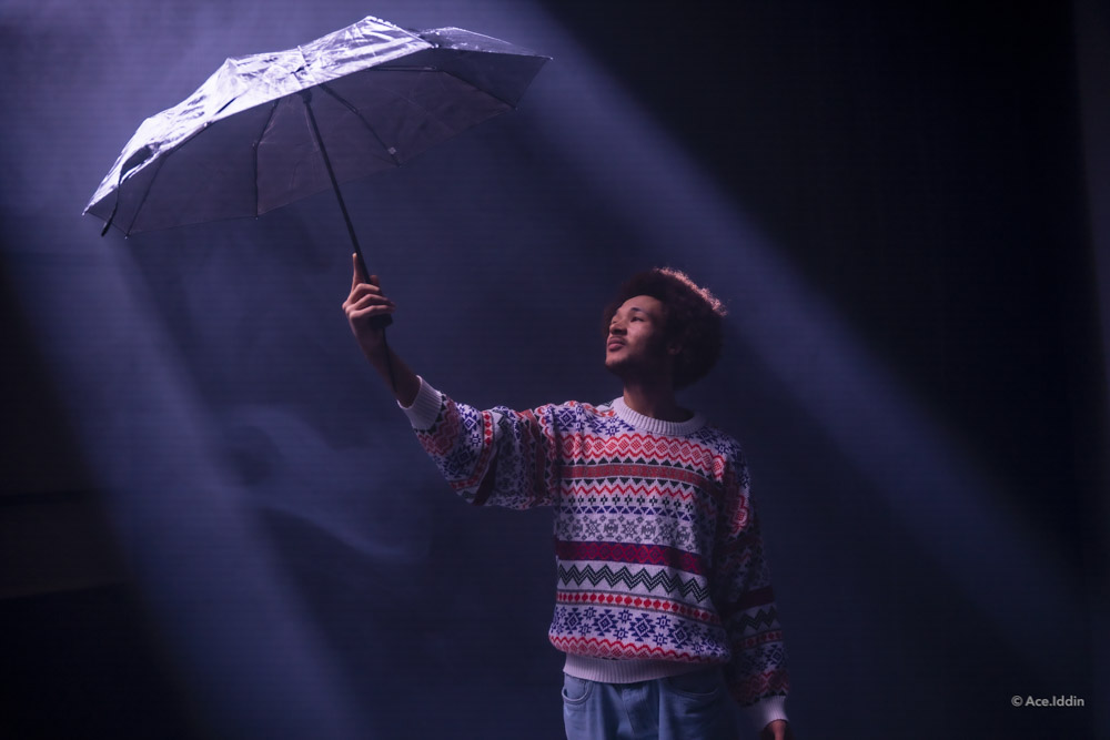 Jan Collection — 25