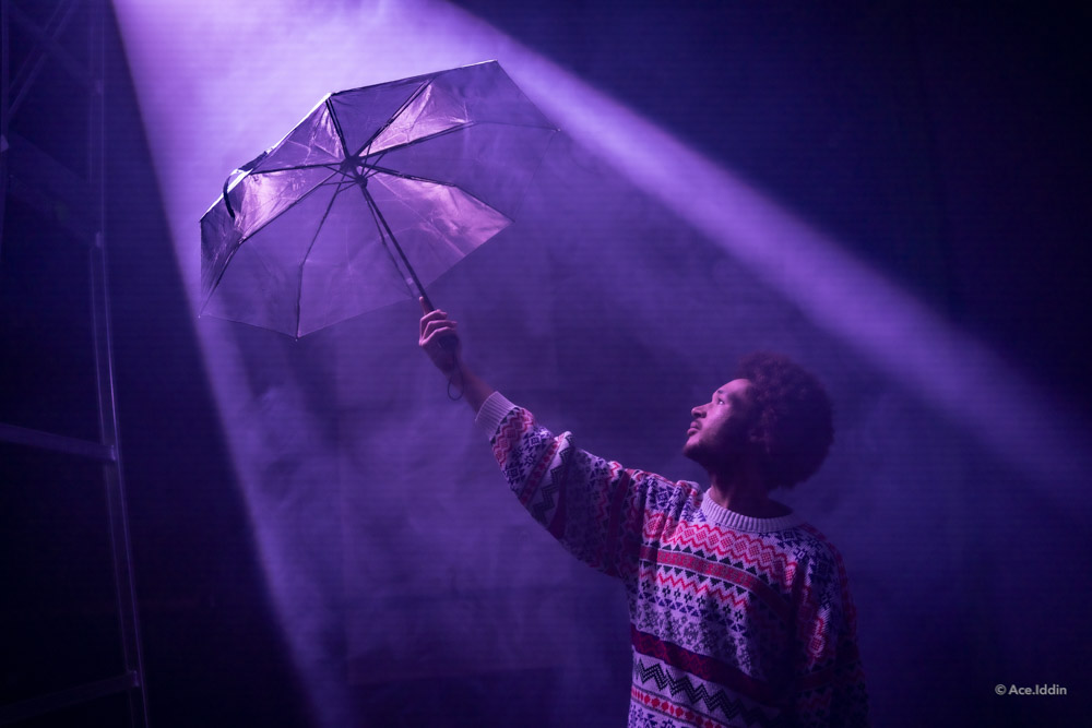 Jan Collection — 24