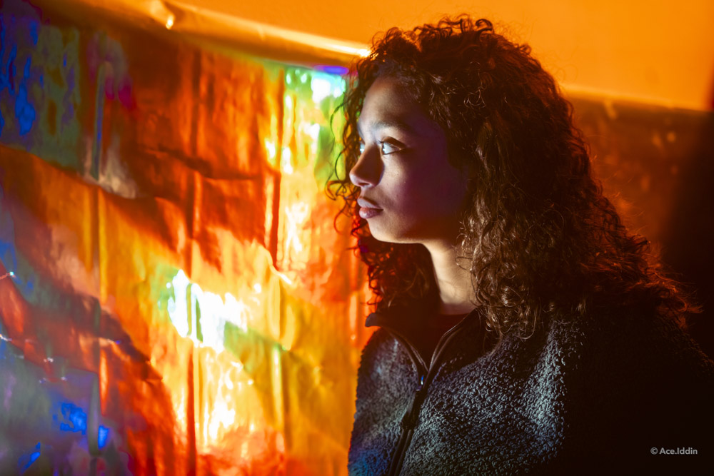 Laar collection — 6