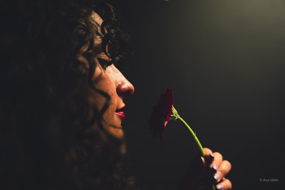 Marah Collection — 25