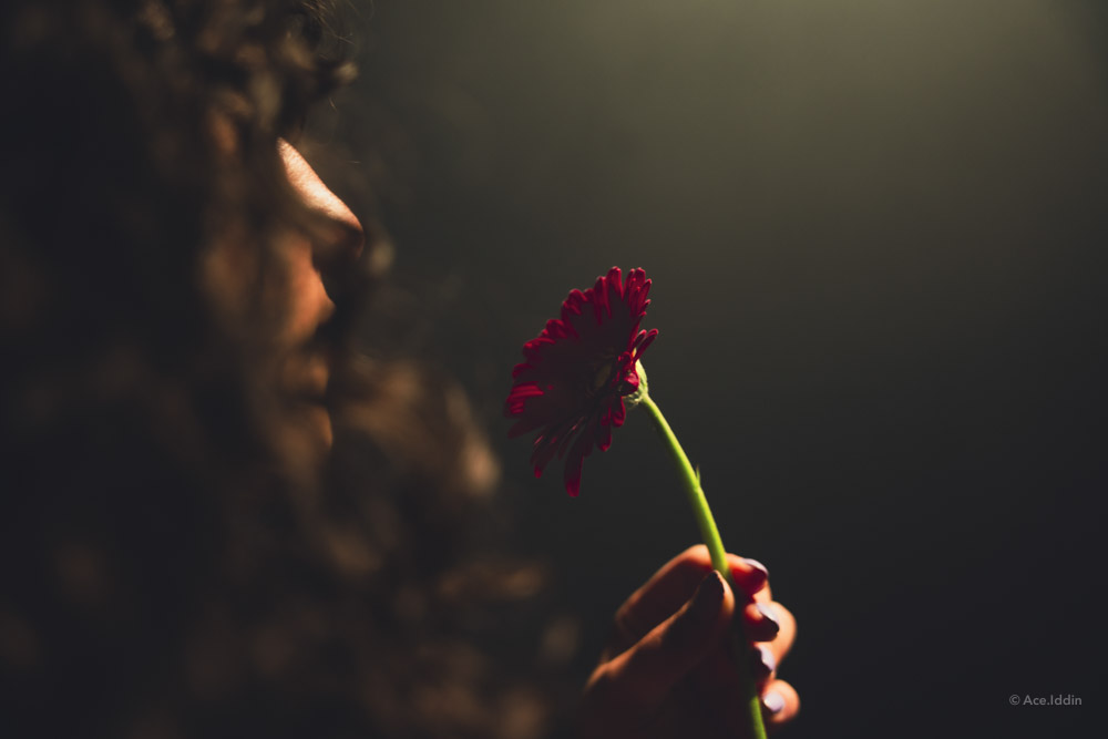 Marah Collection — 26