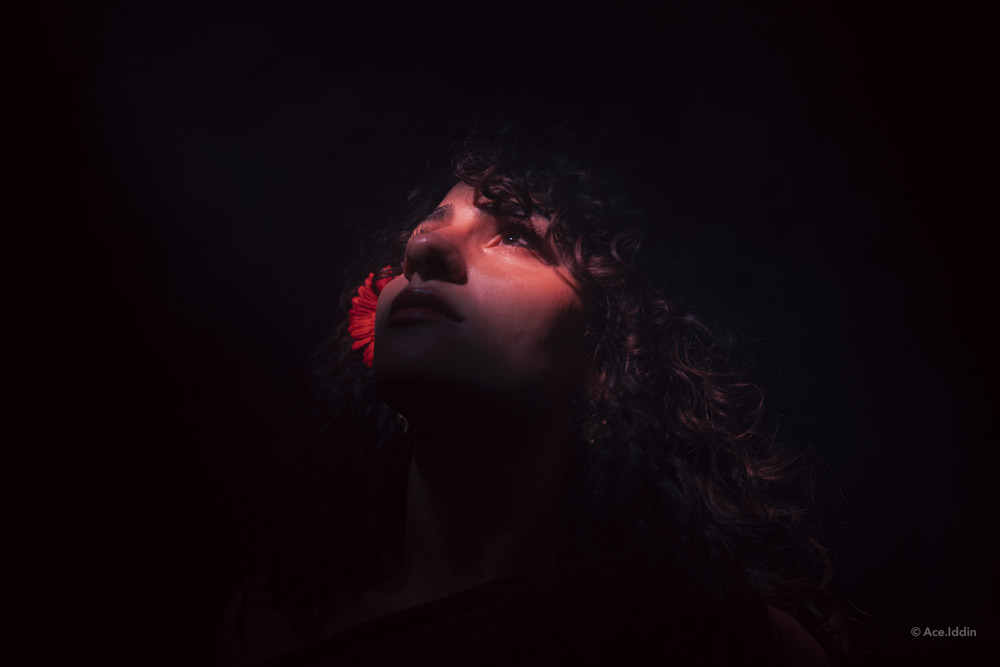 Marah Collection — 31