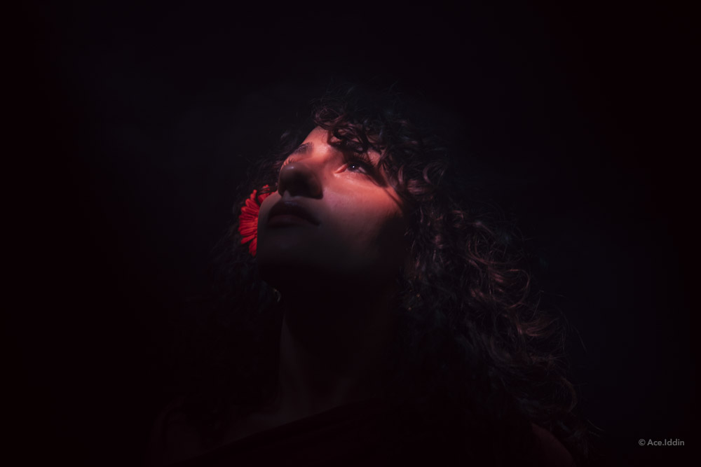 Marah Collection — 29