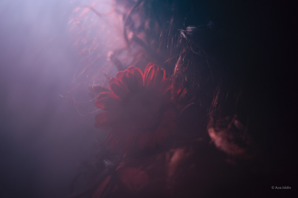 Marah Collection — 33