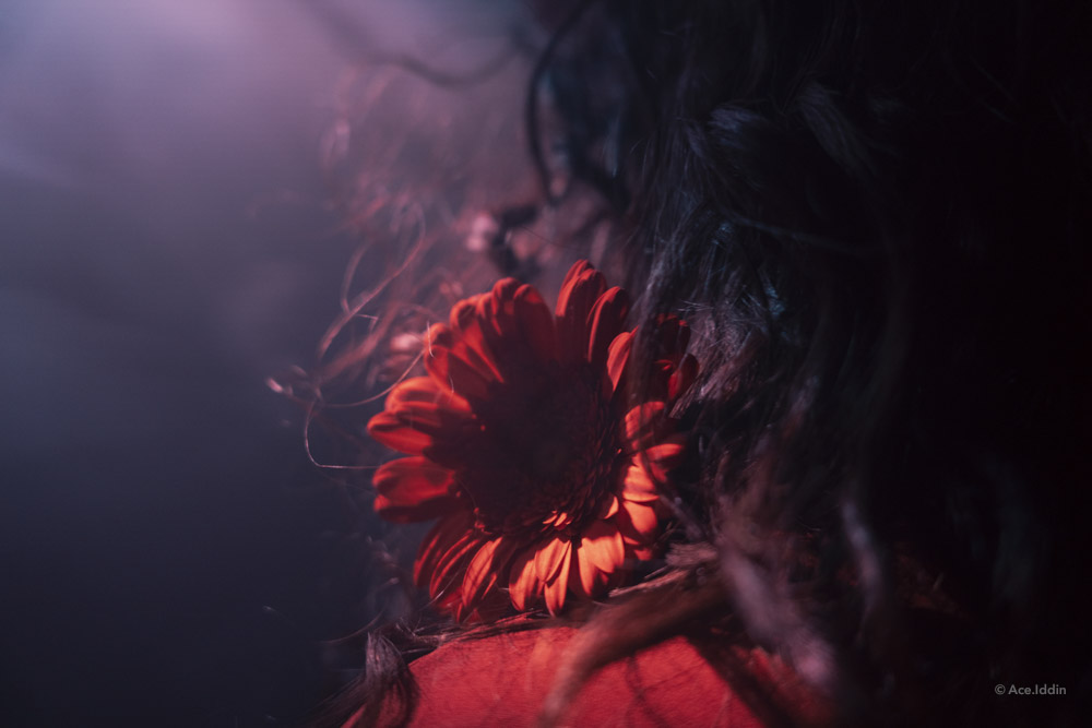 Marah Collection — 35