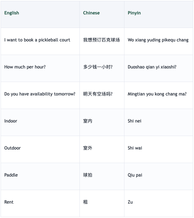 Handy Chinese phrases for playing pickleball in Shenzhen: