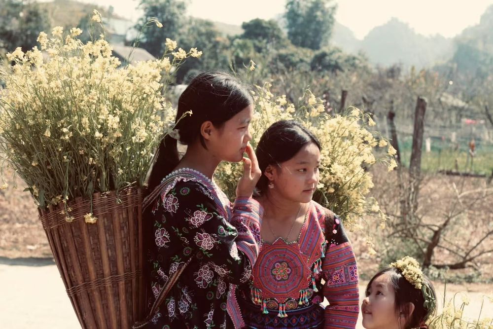 Khái quát về ngôn ngữ các dân tộc thiểu số ở Việt Nam