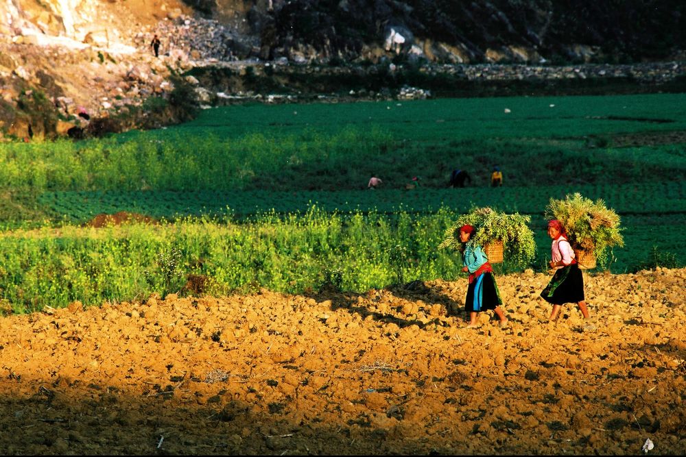 Northeast Việt Nam