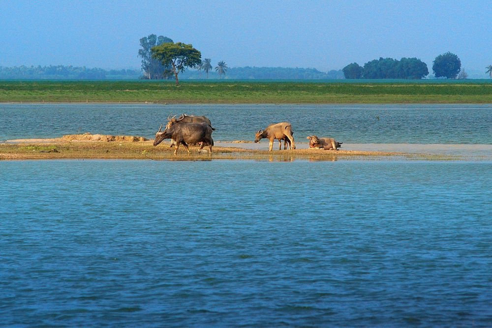 Southeast Việt Nam