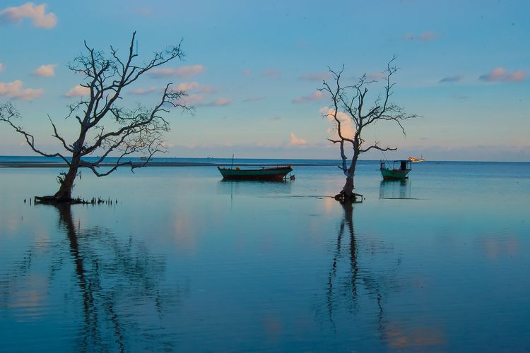 Việt Nam in Still Shots: A Visual Odyssey Across the S-Shaped Land