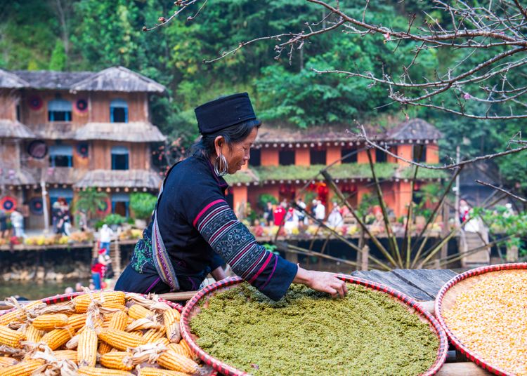 The Anthropology of Vietnam: Global Perspectives