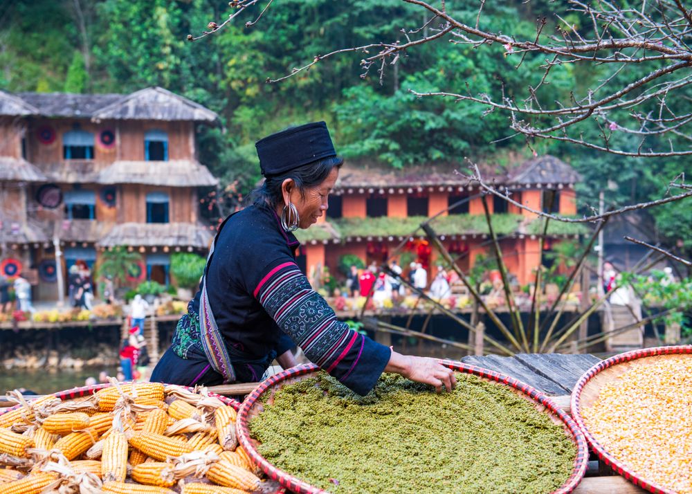 Nhân học Việt Nam: Tiếp cận Toàn cầu