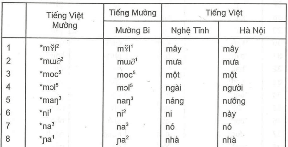Vietnamese–Mường Phonetic Transcription system