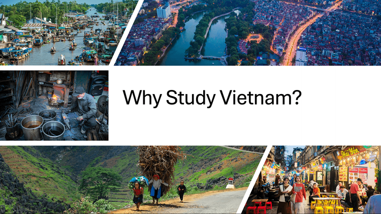 Why Study Vietnam? 