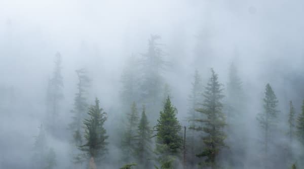 Tahoe Nat. Forest, CA
