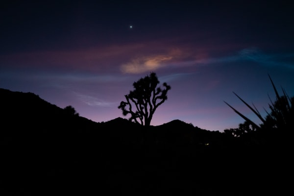Joshua Tree Nat. Park, CA