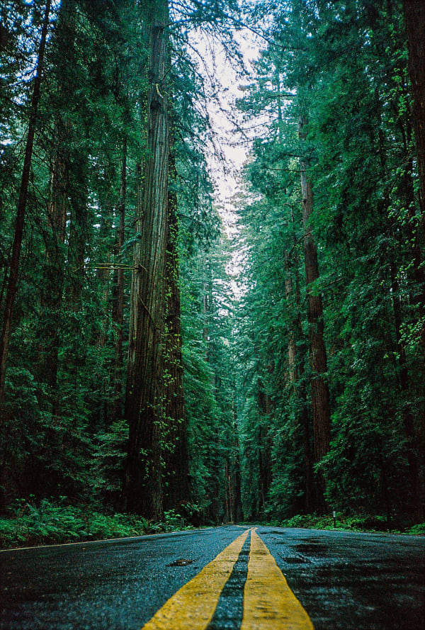 Humboldt State Park, CA