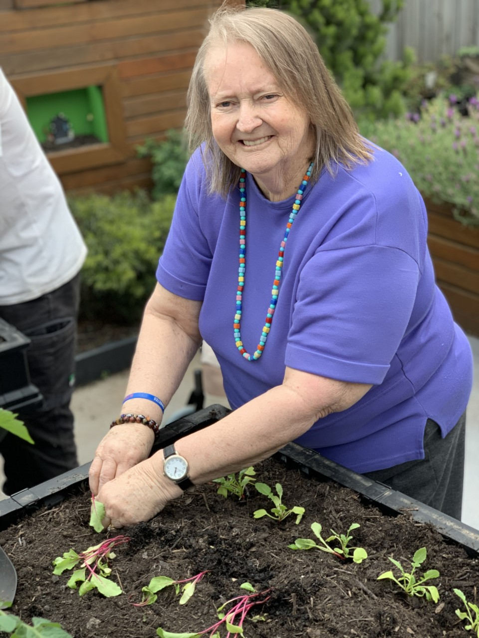 Lifeview Argyle Court Aged Care Home in Chelsea Caring Co