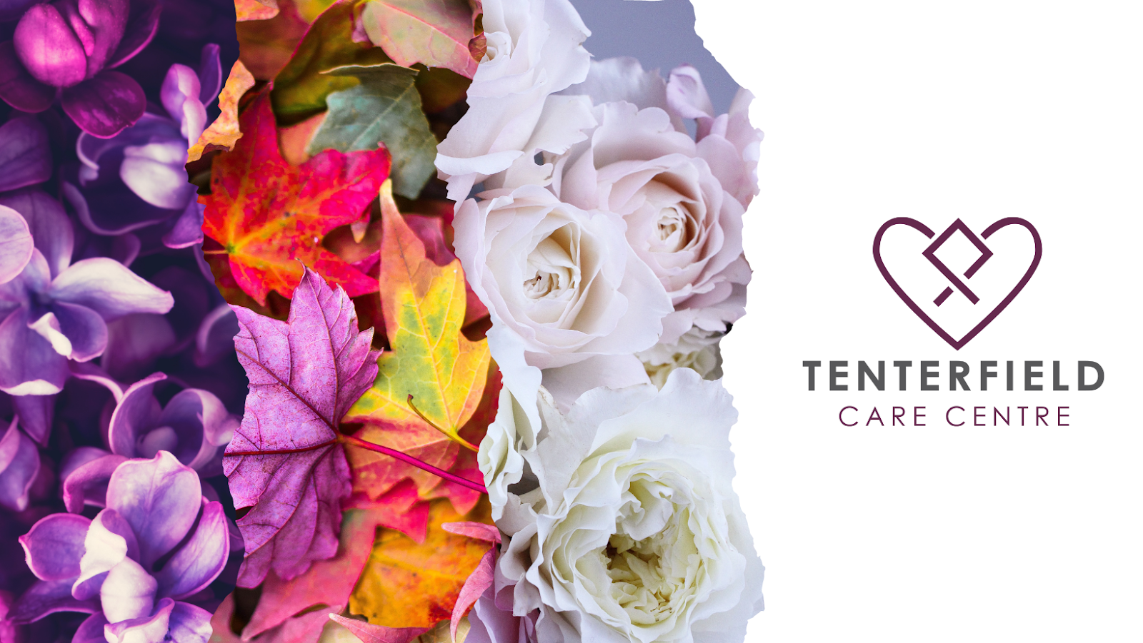 Best Aged Care Facilities in Glen Innes Reviews, Availability, Rooms Caring Co