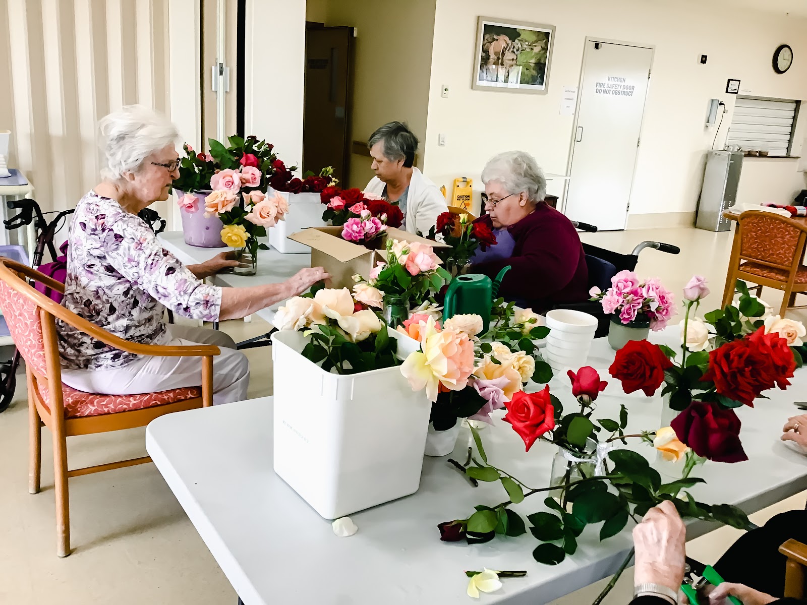 Haddington Nursing Home Aged Care Home in Tenterfield Caring Co