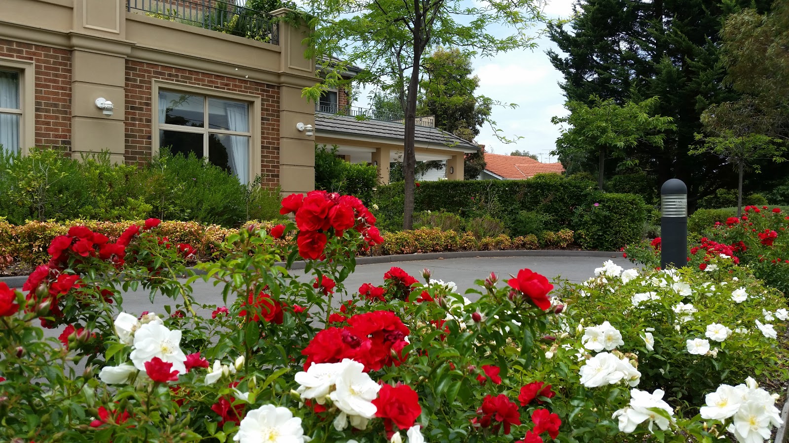 Residential Aged Care Homes in Box Hill Reviews, Availability, Rooms