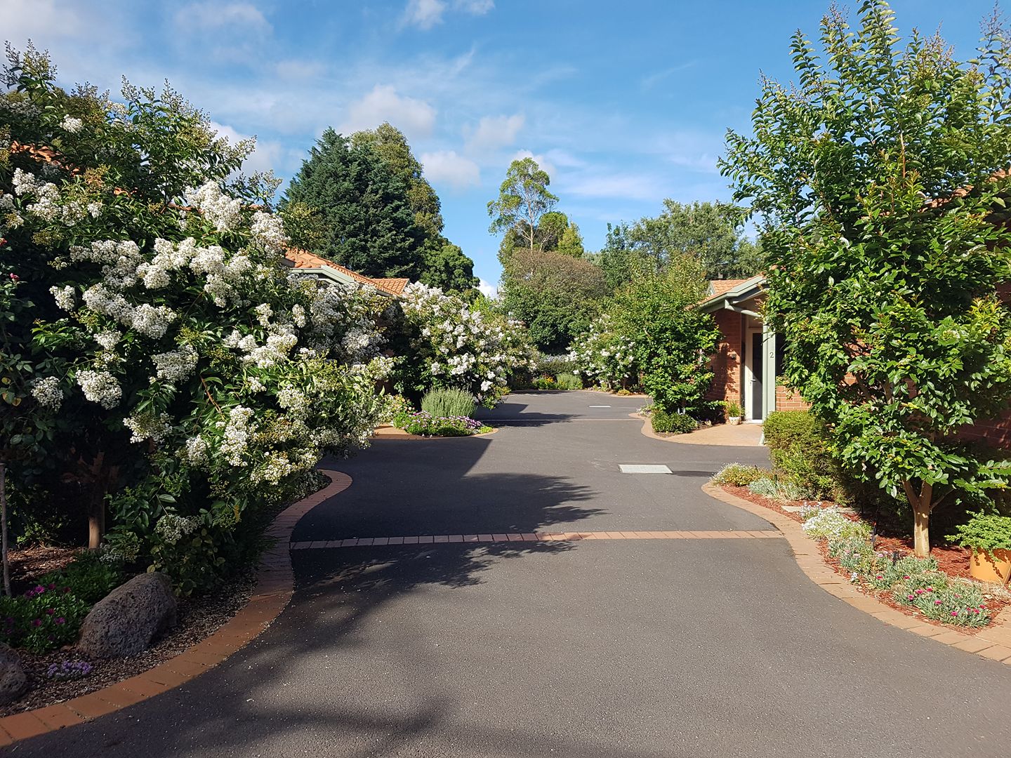 Diana Street Lodge Aged Care Home in Croydon Caring Co