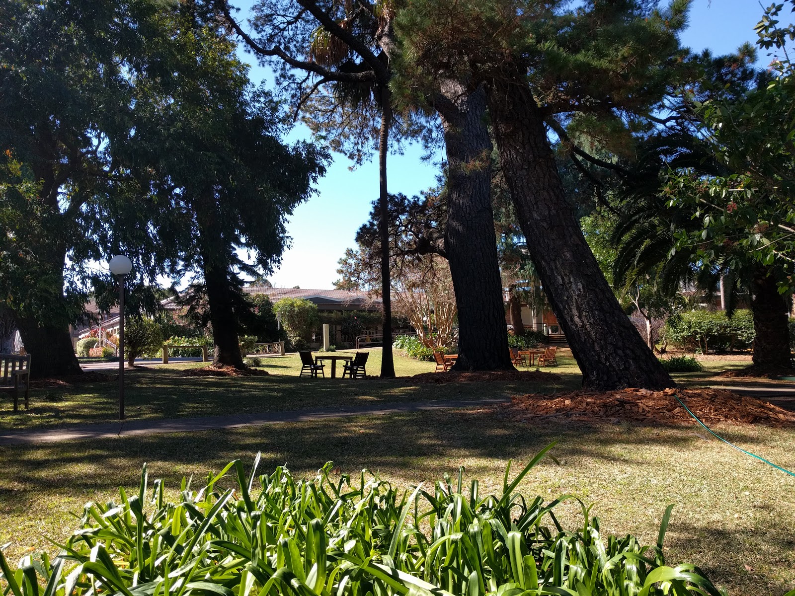 Hunters Hill Montefiore Home Aged Care Home in Hunters Hill Caring Co