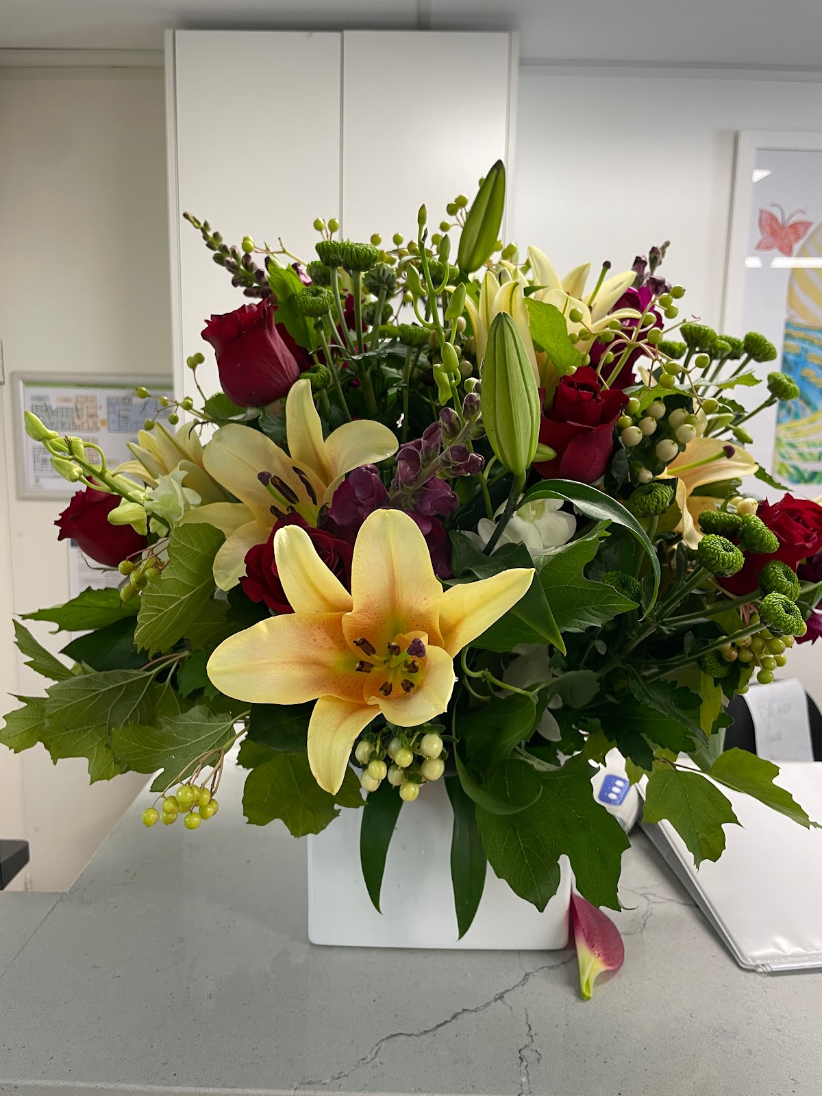 Bexley Aged Care Home Aged Care Home in Bexley Caring Co