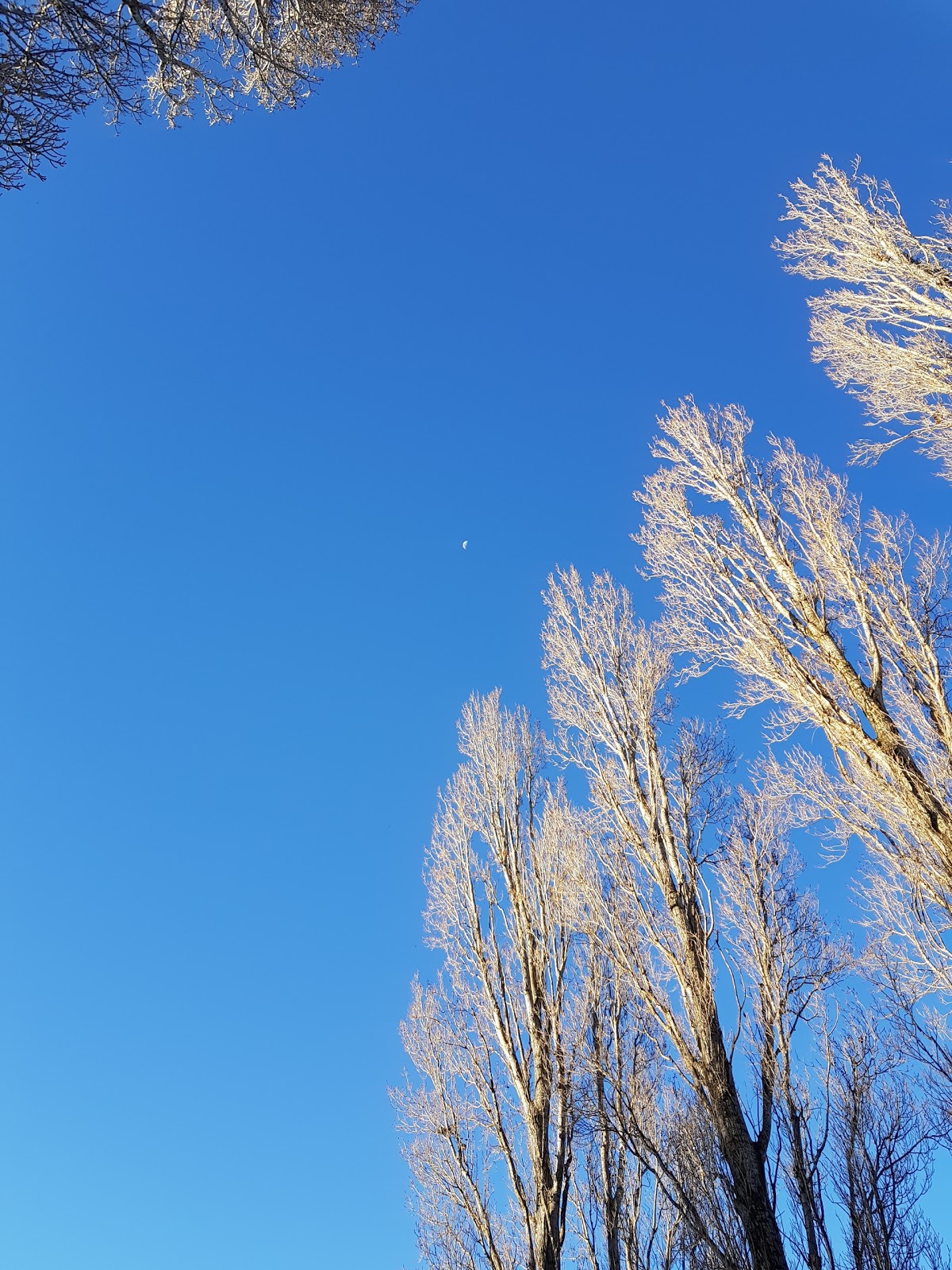 Best Aged Care Facilities in Glen Innes Reviews, Availability, Rooms Caring Co