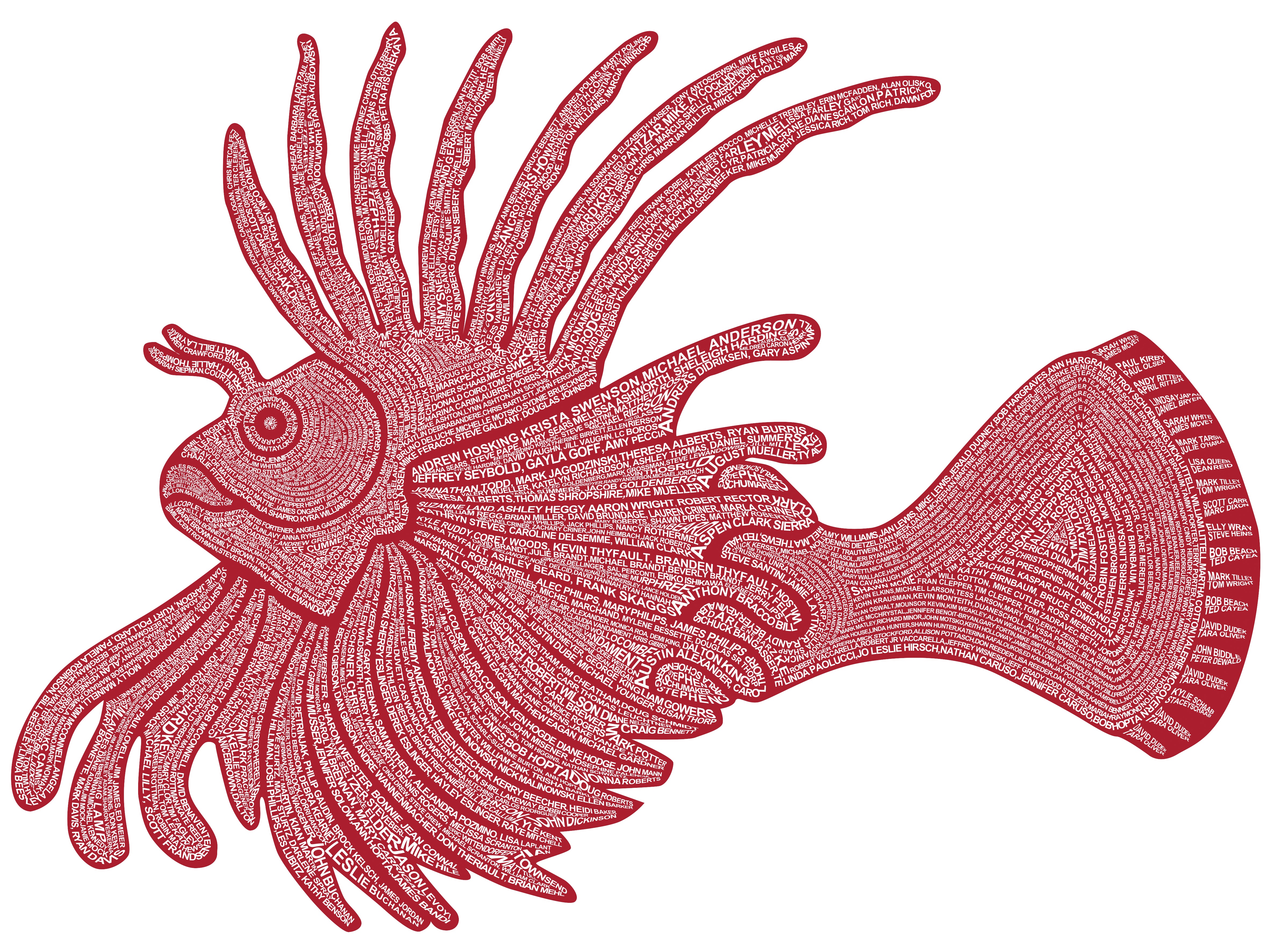 Lionfish Graphic