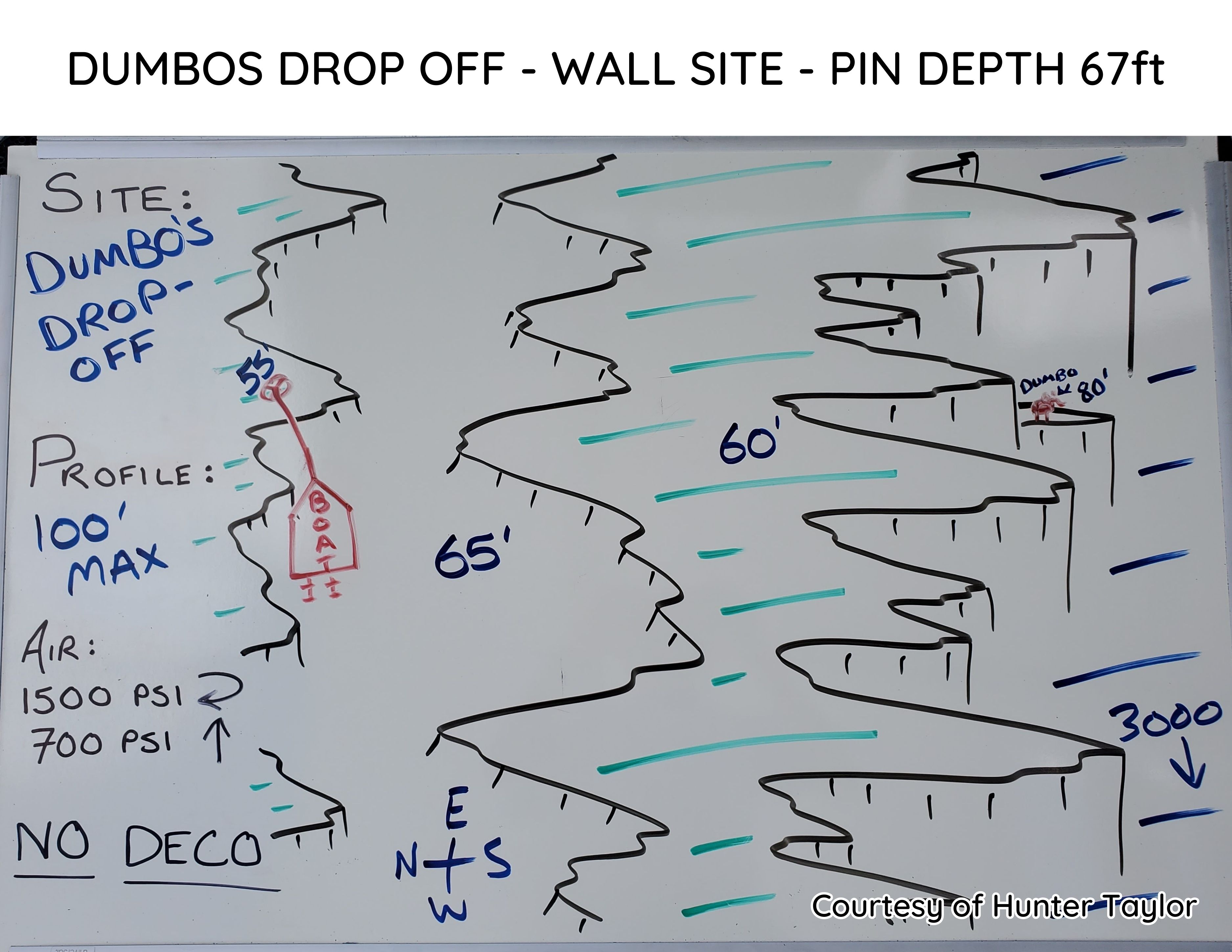 Hand-drawn briefing map of Dumbo's Drop-Off