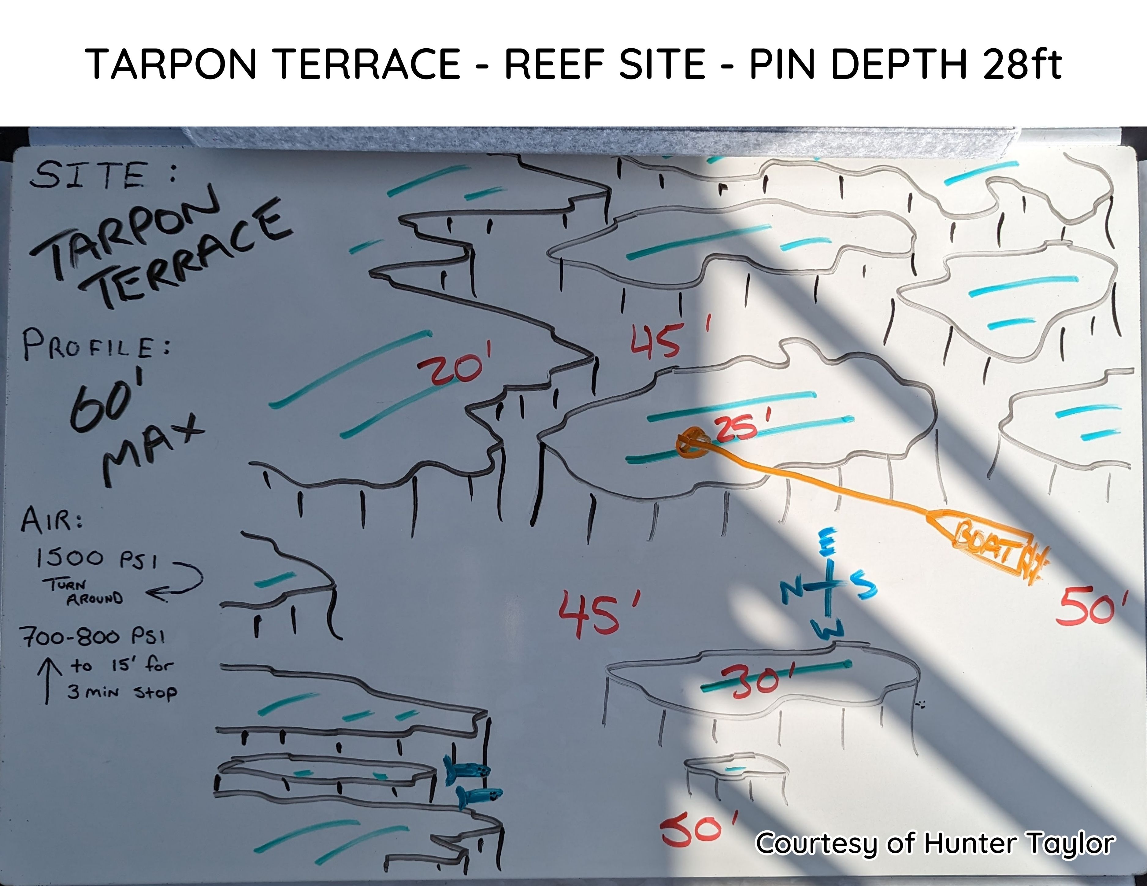 Hand-drawn briefing map of Tarpon Terrace
