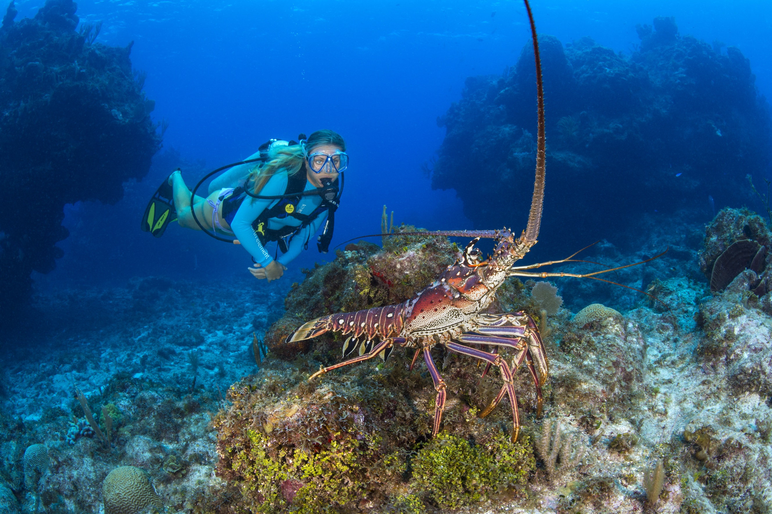 Chub Hole dive site - Image 1