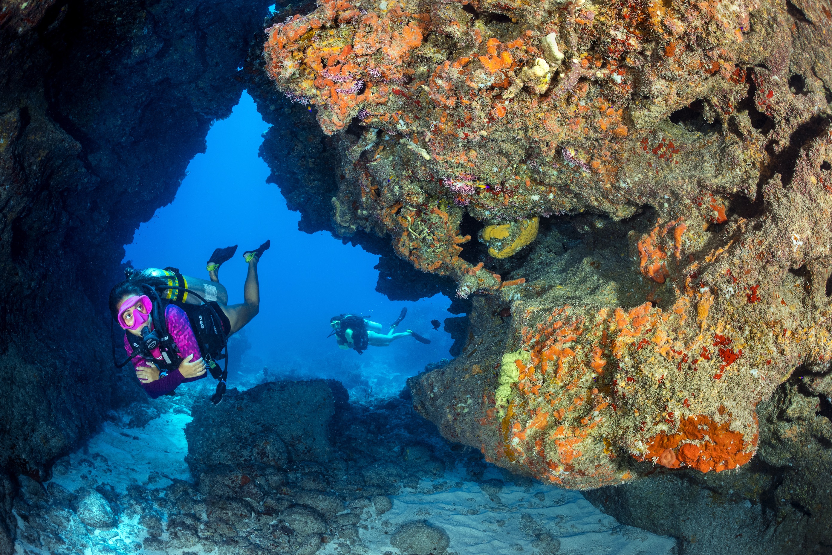 Cinderella's Castle dive site - Image 1