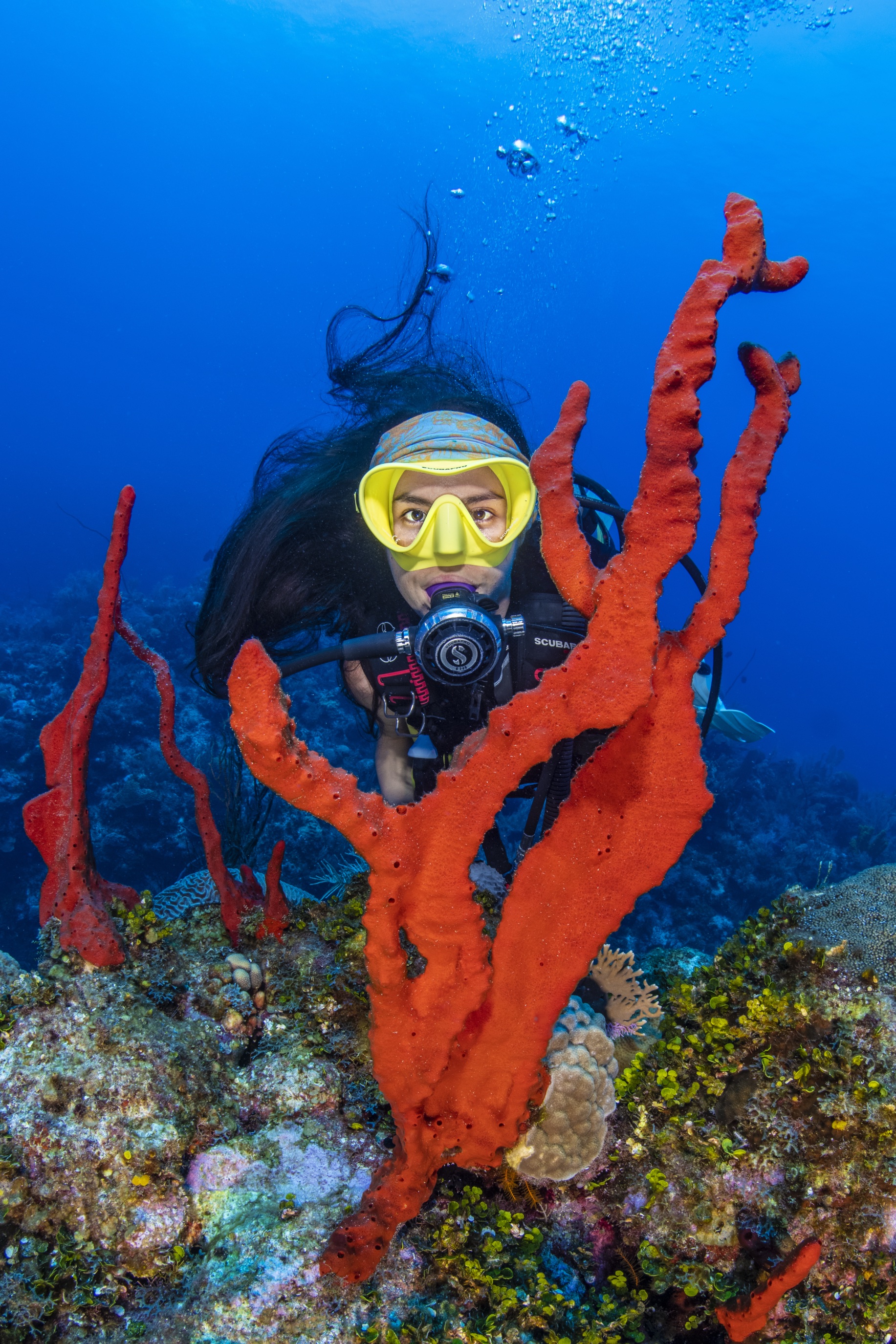 Split Rock dive site - Image 1