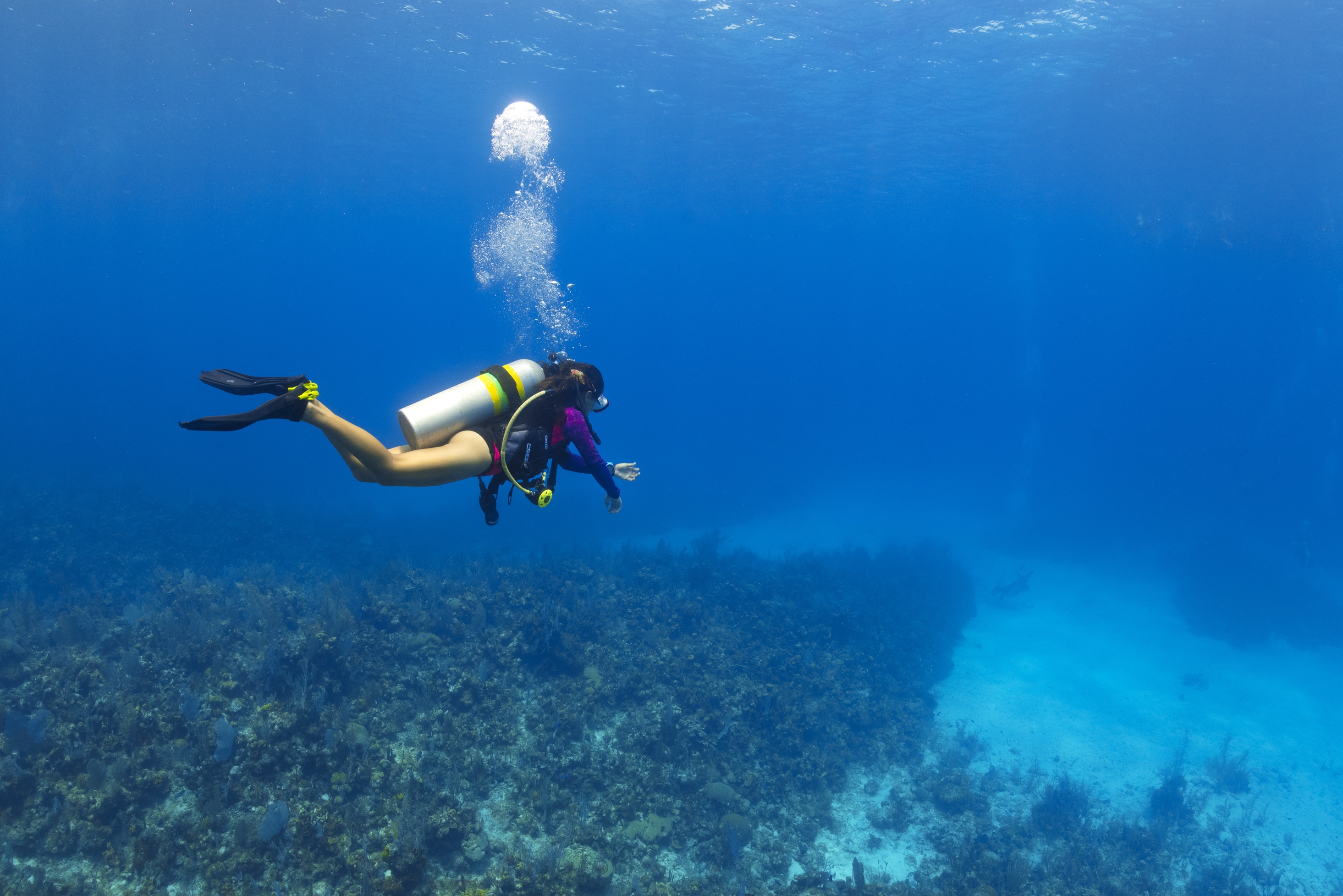 Turtle Pass dive site - Image 2