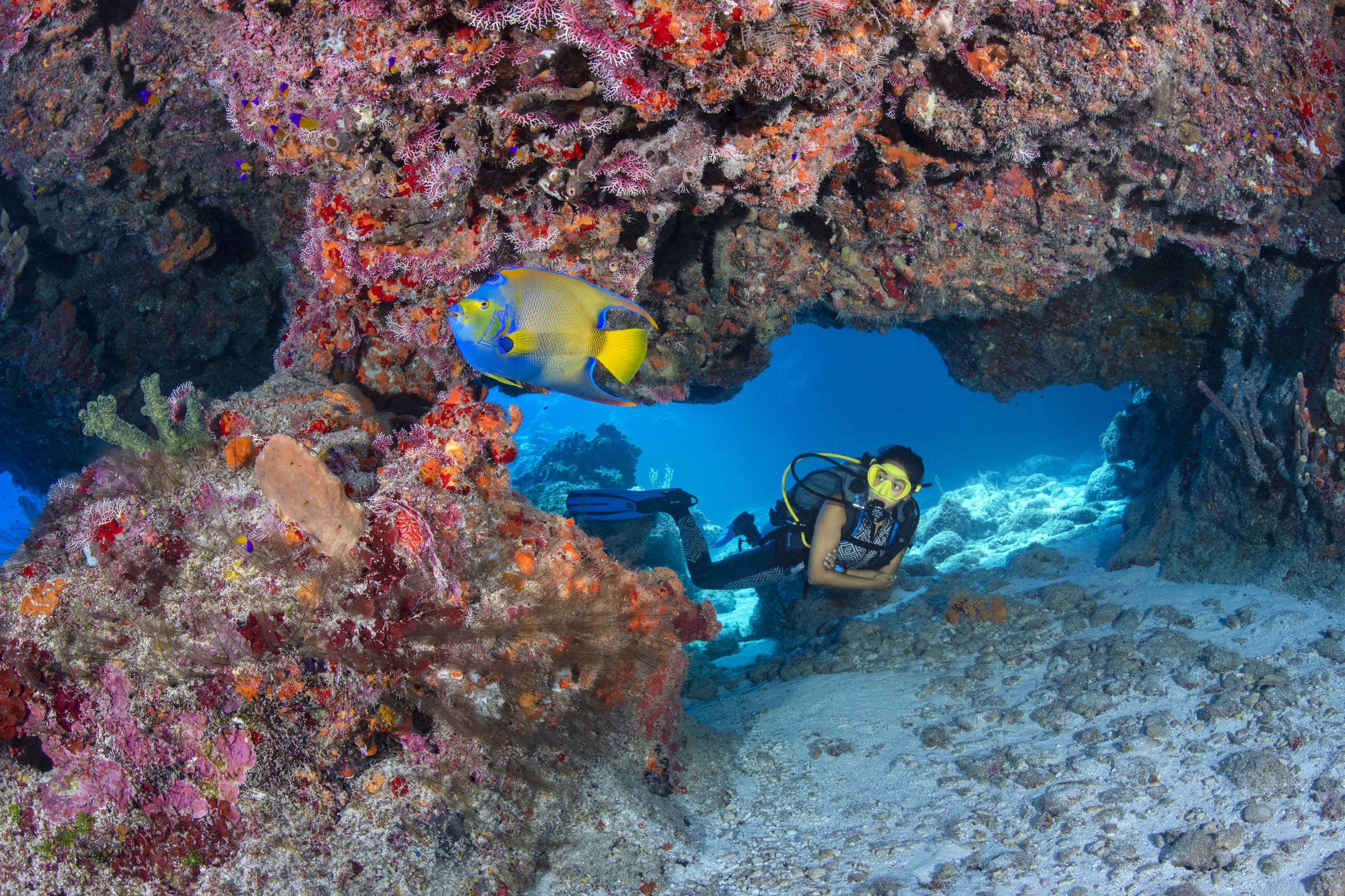 Chub Hole dive site - Image 2