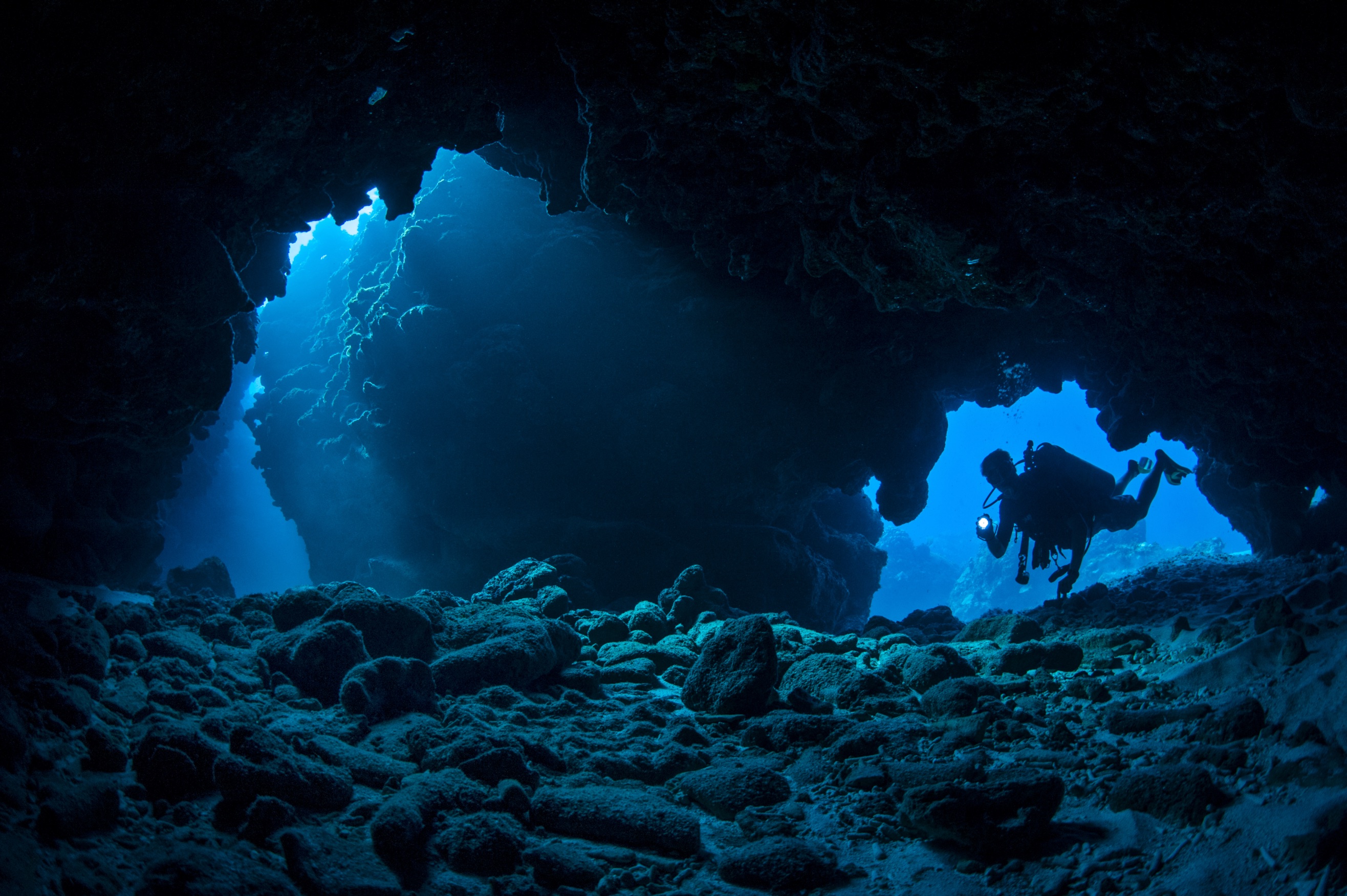 Ironshore Gardens dive site - Image 1