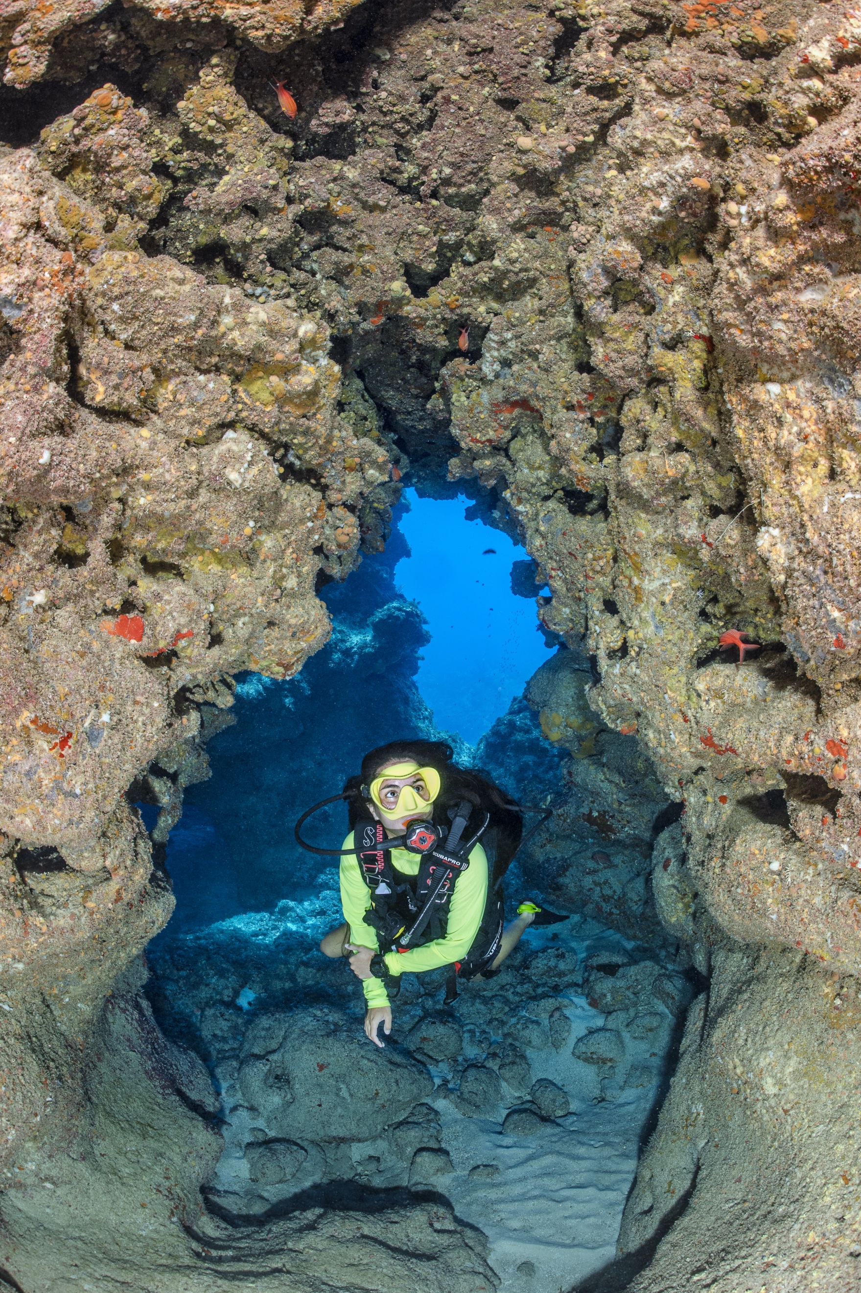 Cinderella's Castle dive site - Image 2